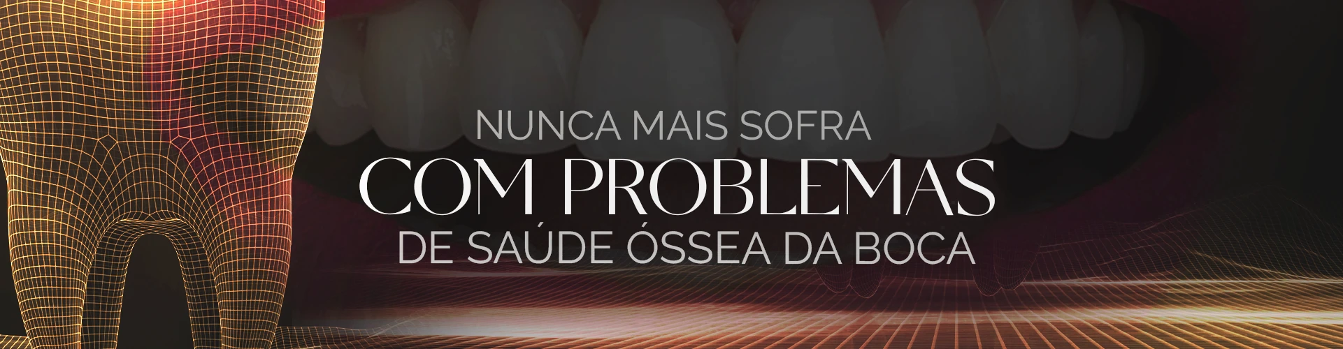 banner-3.webp
